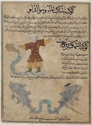 Aquarius and Pisces, from 
